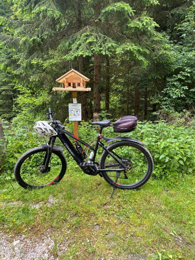 Ferienwohnung Haus Laubreuter Kaprun Exterior foto